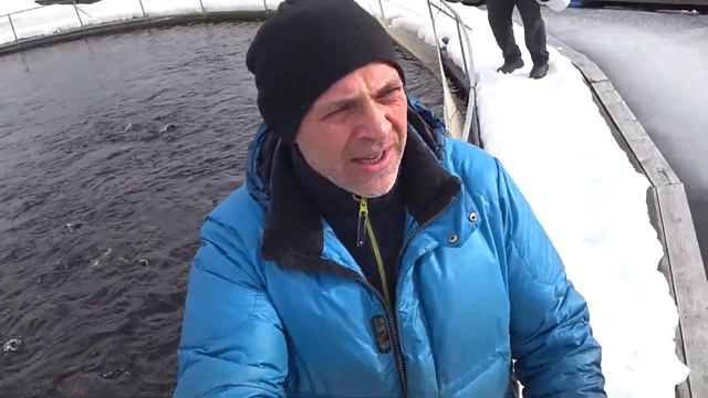 ловля форели,форель, форелевая ферма