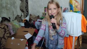 Обзор караоке системы с двумя микрофонами