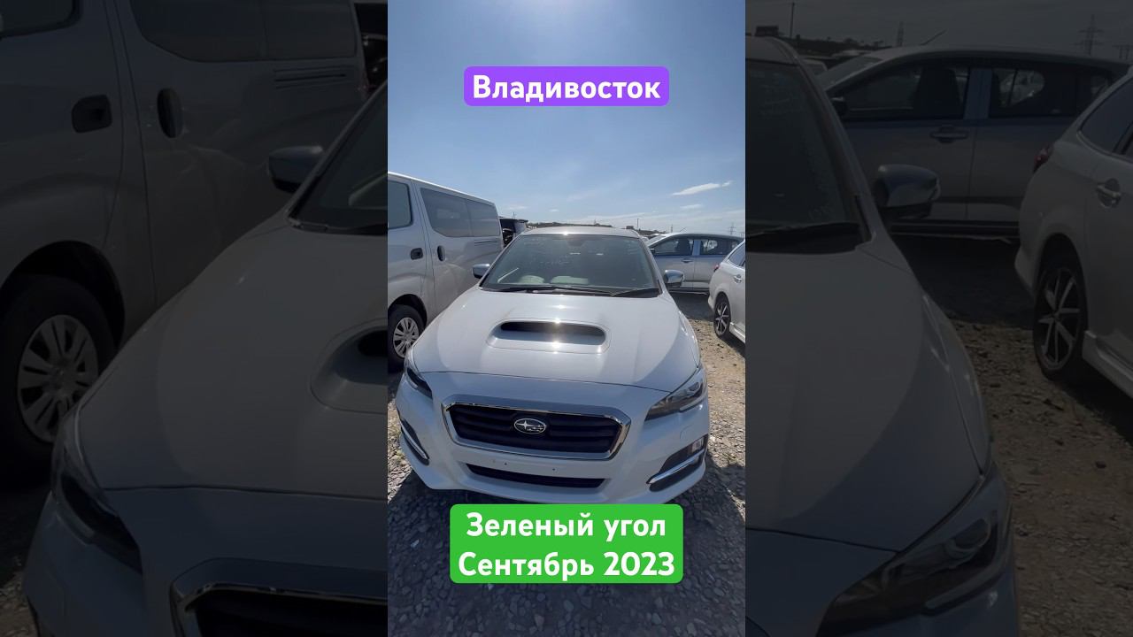 Subaru Levorg. Обзор цен сентябрь 2023. Зеленый угол. Владивосток. смотреть онлайн