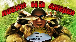 Щука на джерк Спиннинг с берега Ловля на спиннинг