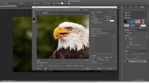 Optimize Images for Website Using Photoshop