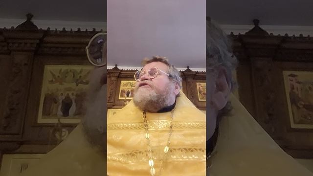 А КТО КАНОНИЧЕН ? (Лк.8,14-56) Протоиерей Олег Стеняев смотреть онлайн