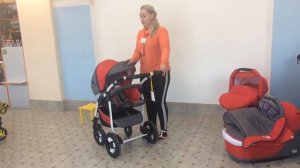 Коляска Teddy Fenix 3 в 1