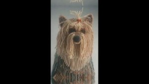 15 самых сложных работ из бисера⁉️