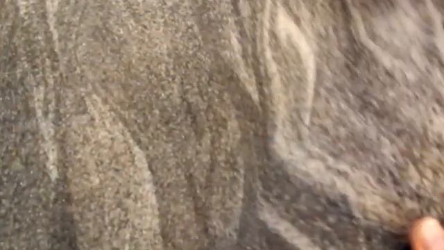 ТПК "Гибкий камень" смотреть онлайн