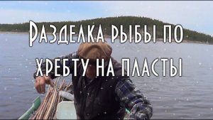 РАЗДЕЛКА РЫБЫ ПО ХРЕБТУ НА ПЛАСТЫ, для засолки или копчения