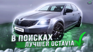 Как мы НЕ НАШЛИ Škoda Octavia с бюджетом 1.8?
