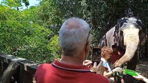 2024/2/29,10:55,athgala - ඇත්ගාල,7JVR+RRF, Kandy, 斯里蘭卡