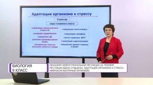 Биология. 9 класс. Механизм нейрогуморальной регуляции на примере регуляции вдоха и выдоха