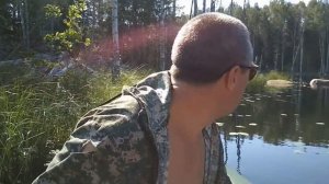 Бешеный клев Щука на живца как ловить щуку на кружки как ловить на живца хищника как насаживать жив