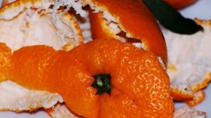 Апельсиновые корки – польза для сада и огорода, особенности применения на даче