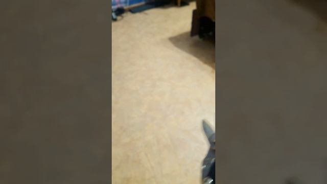 Kraftool Alligator