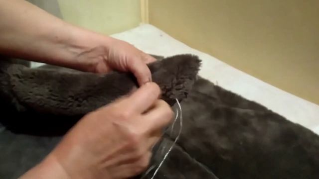 Лежанка для КОШКИ / ЛЕЖАК ДЛЯ КОТА ТАПОК Своими Руками