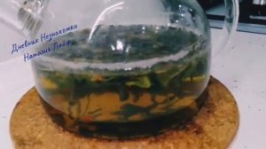 Полезные свойства зелёного .