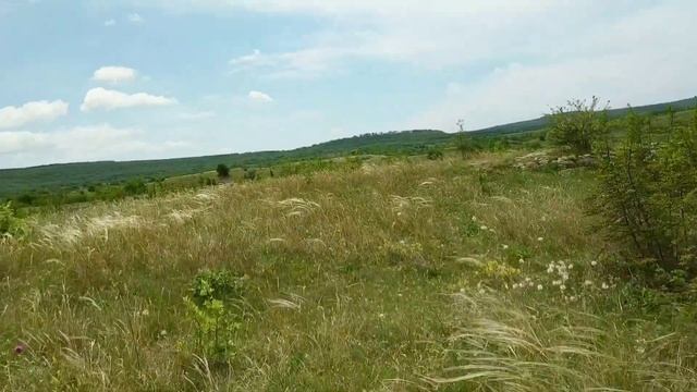 Земля в Крыму. Сельхозка, ЛПХ