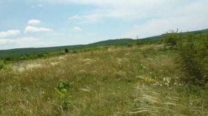 Земля в Крыму. Сельхозка, ЛПХ