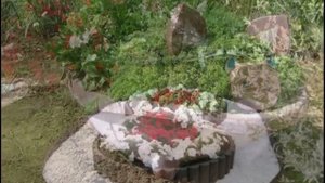 Дачные клумбы своими руками