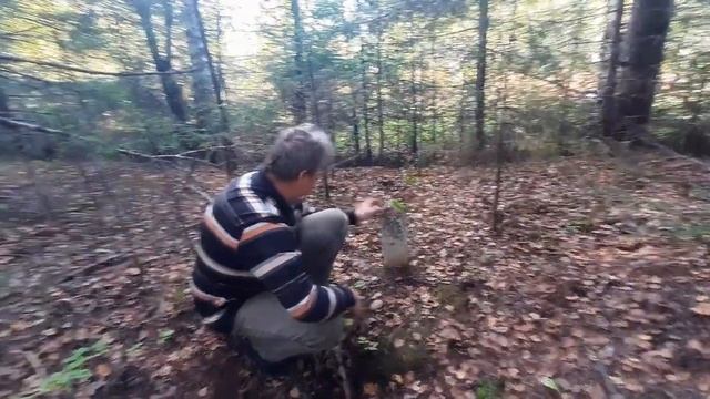 Загадочное место. Пермский край #пермскийкрай #загадочноеместо