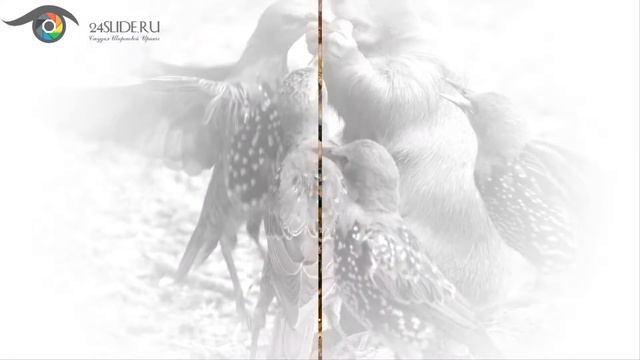 Слайд шоу ко дню доброты смотреть онлайн