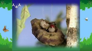 Утро в Шишкином Лесу. Сказка. Заплатка