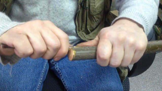 Методы прививки. Урок 3. Прививка в толстую ветвь копулировкой. смотреть онлайн