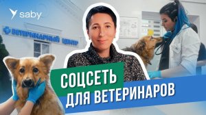Корпоративный портал: чаты, видеозвонки, мотивация, — опыт внедрения в сети ветеринарных клиник