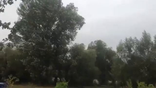 Еду В Соседнее Село . Пропали Брошенные Котята . Общение С бычками смотреть онлайн