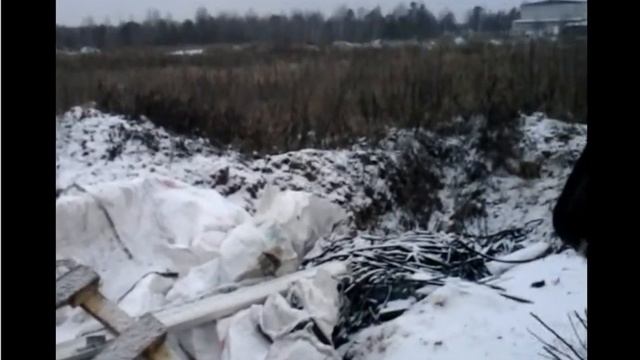 Администрация заявила, что свалку ртутных ламп убрали? Проверили - ЛОЖЬ смотреть онлайн