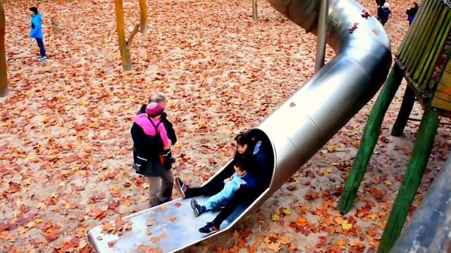 ✶✷✸Детские площадки разных стран мира✶✷✸  #Детскаяплощадка в живописном лесу в Германии.