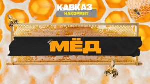 Кавказ накормит. Мёд