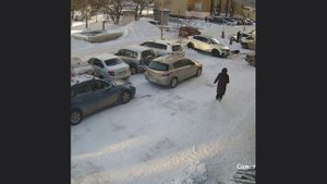 Собака-убегака