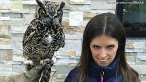 Things Get Kooky in This Anna Kendrick 'Wild' Photoshop Battle