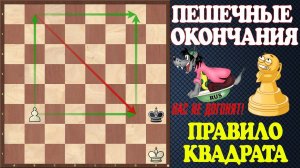 Шахматы. Учебник эндшпиля №6. Пешечные окончания. Король против проходных пешек. Правило квадрата