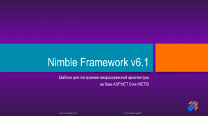 Nimble Framework 6.1