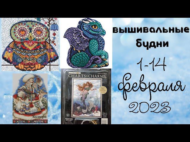 4/2023. 1-14 февраля. Продвижение процессов, много новых суккулентов смотреть онлайн