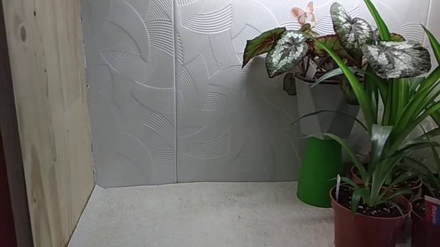 Навожу порядок на цветочном стеллаже.#тепличкидляукоренения