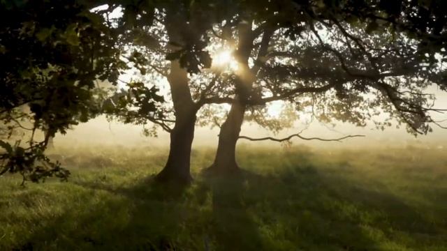 6 Добродетелей, которых очень боятся бесы.." Старец Паисий Величковский. "Нет страшнее сего оружия! смотреть онлайн