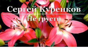 Сергей Куренков - Не грусти