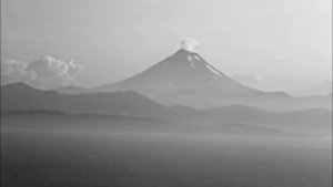 Бону | Кора тун