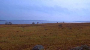 Освейское озеро. 2011год.