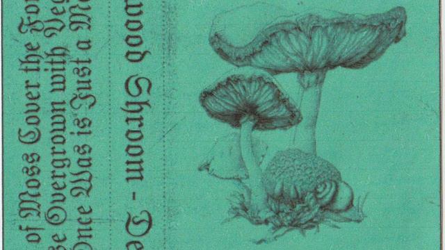 Mirkwood Shroom - Demo I (2019) (Dungeon Synth, Mushroom Synth) смотреть онлайн