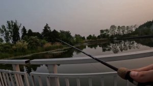 The Scarborough Bluffs Fishing - Urban Fishing Reviews