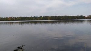 Уловистые места .Волхов..Рыбалка с берега.Часть  2.