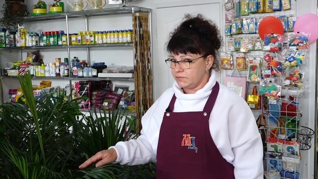 То, что нужно / Магия цветов смотреть онлайн