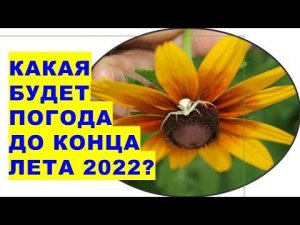 Какой будет погода до конца лета 2022 года?