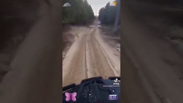 Дети обуздали квадроцикл СФ мото 450 макси смотреть онлайн