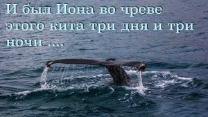 Книга пророка Ионы 1 - 2 главы. И был Иона во чреве этого кита три дня и три ночи ....