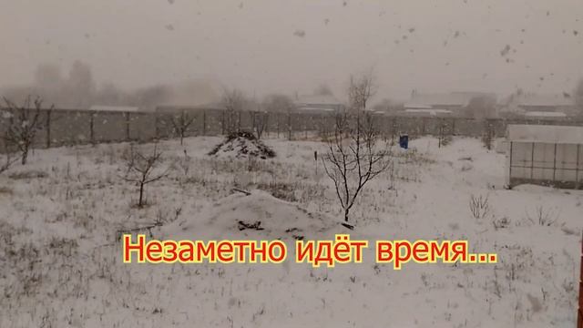 Проращивание черенков винограда в домашних условиях Простой и надежный метод germination of cutting смотреть онлайн