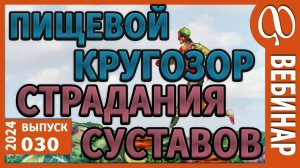 Суставы. Артрит. Артроз. Ревматизм. Причины. Концепция исцеления. Растительная и животная пища