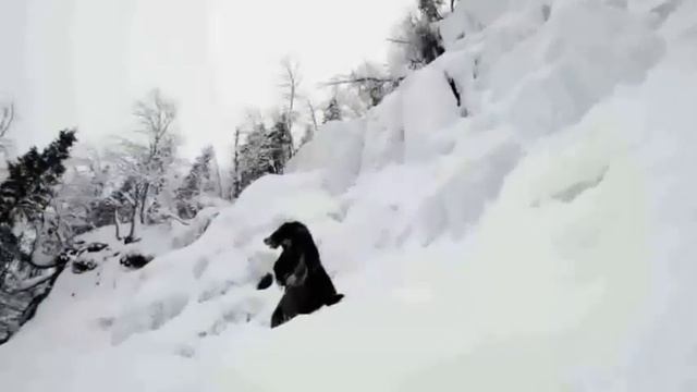 День Бога Велеса -11.02. смотреть онлайн